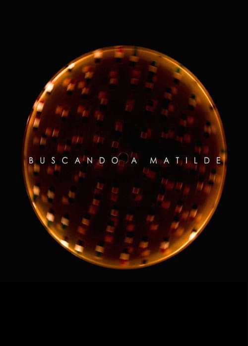Buscando a Matilde (2013) poster