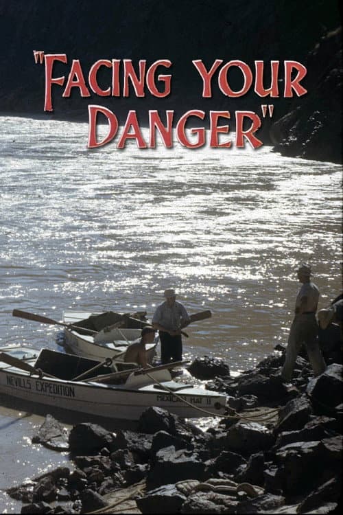 Facing Your Danger (1946) poster