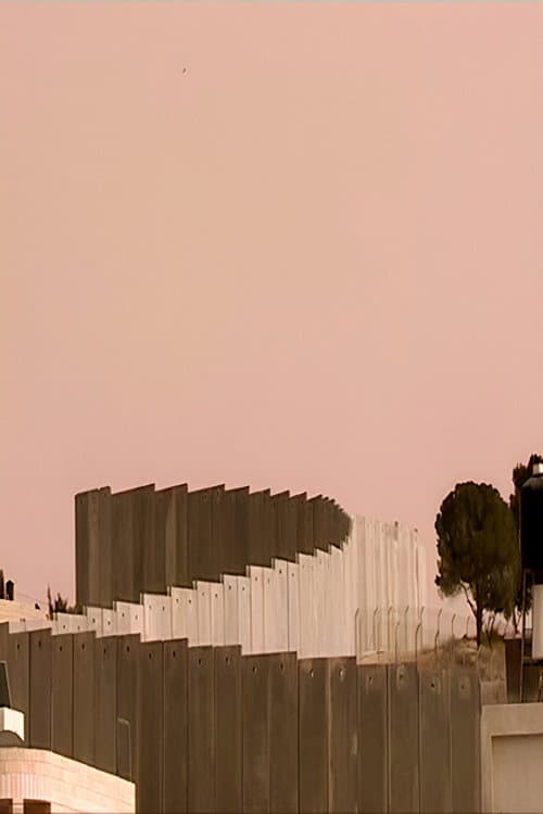 Palestine in Fragments (2007) poster