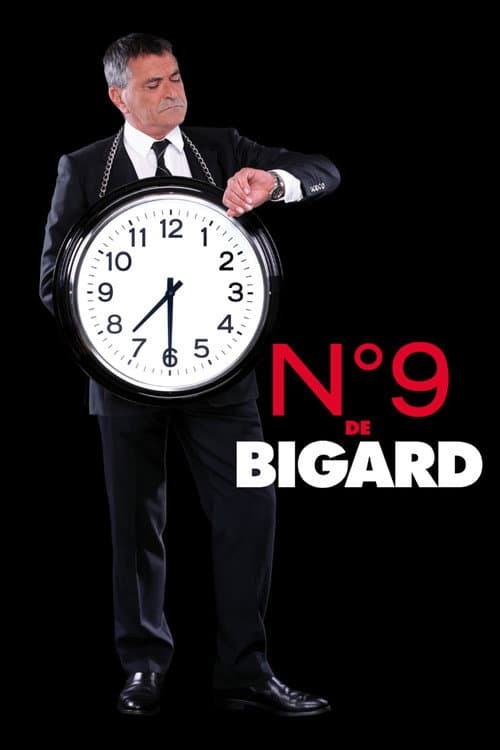 Bigard : N°9 (2013) poster
