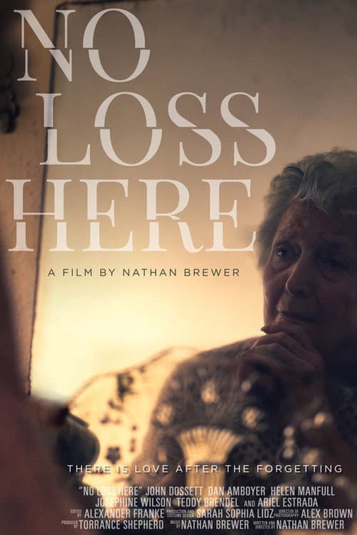 No Loss Here (2020) poster