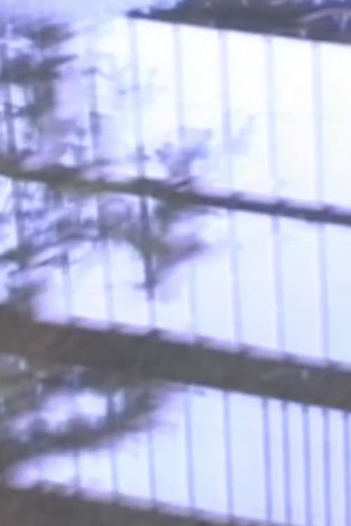 Love & Numbers (2004) poster