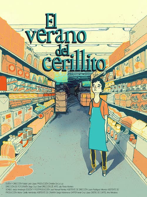 El verano del cerillito (2015) poster