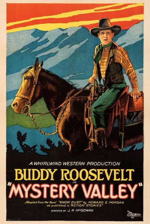 Mystery Valley (1928) poster