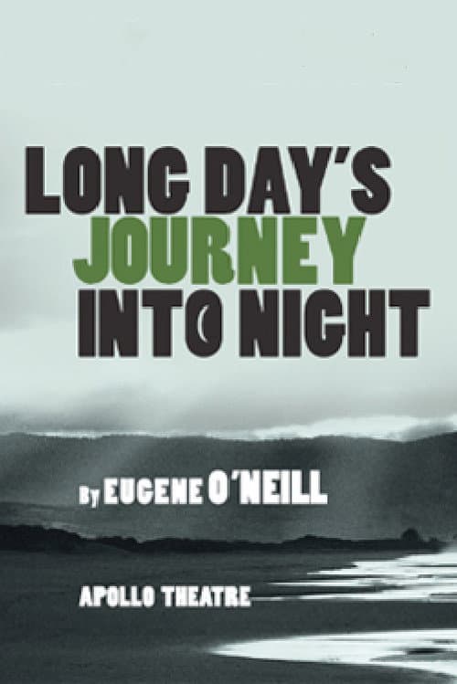 Long Day's Journey Into Night (2014) poster
