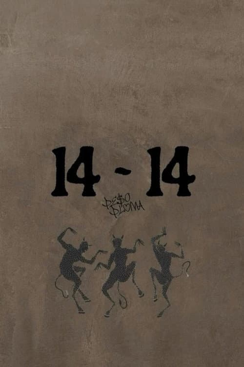 14-14 (2025) poster