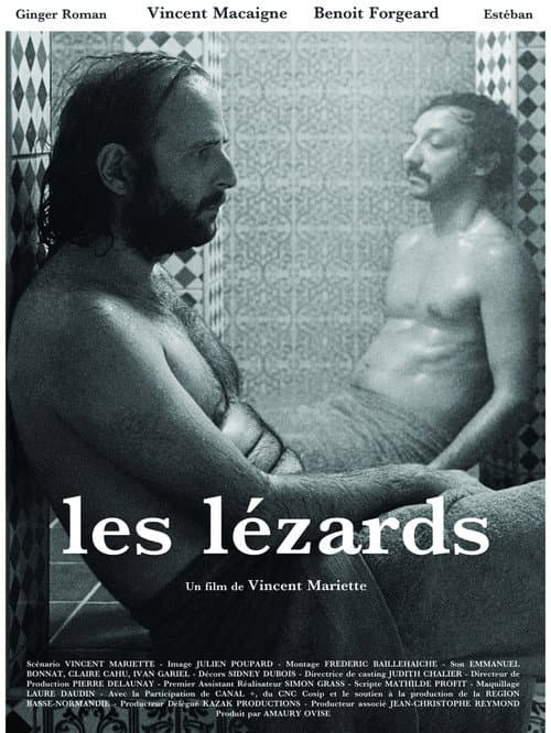 Les lézards (2013) poster