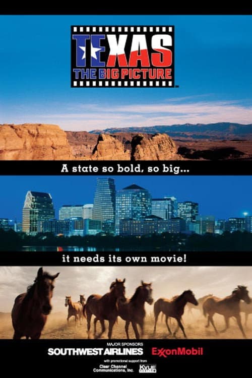 Texas: The Big Picture (2003) poster