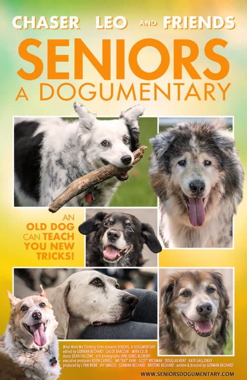 Seniors: A Dogumentary (2020) poster
