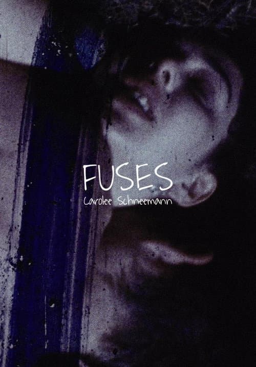 Fuses (1967) poster