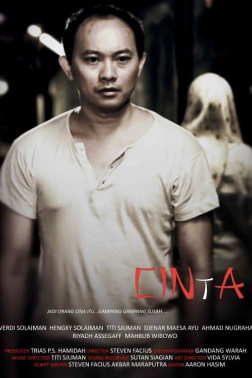 CINtA (2009) poster