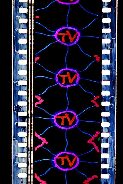 TV (2019) poster