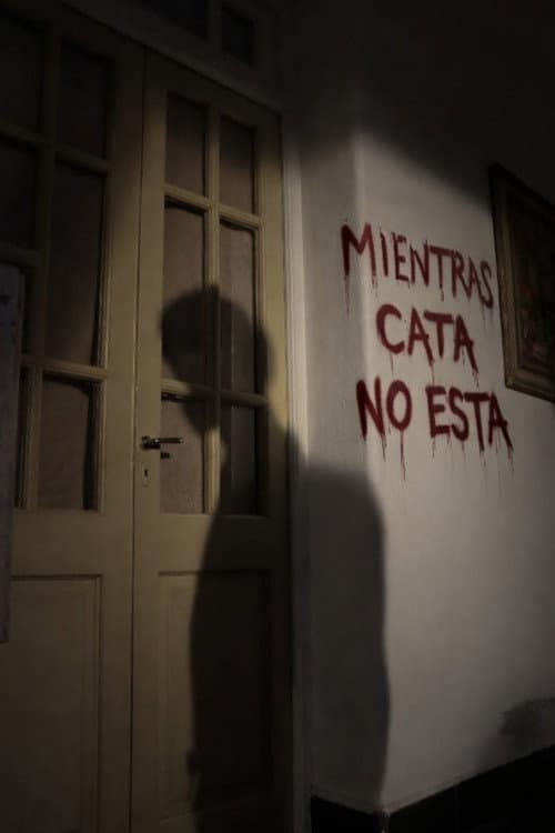 Mientras Cata no está (2025) poster