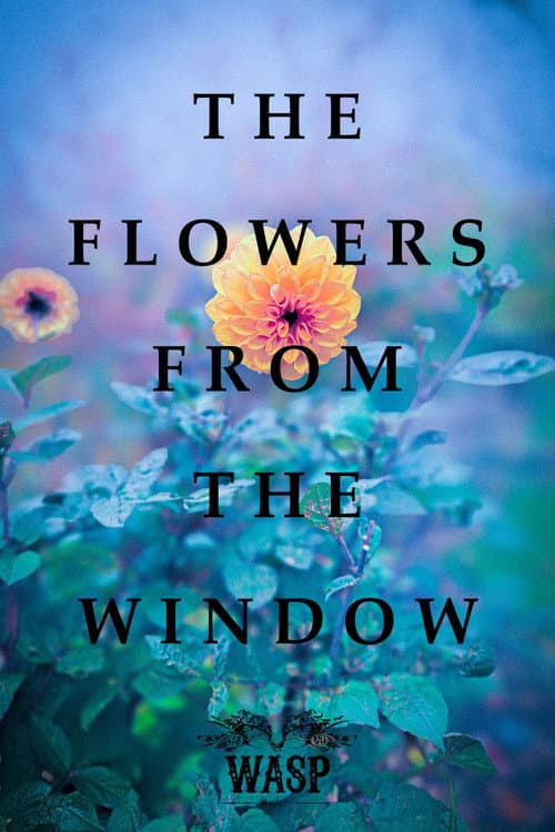 The Flowers From The Window (2025) poster