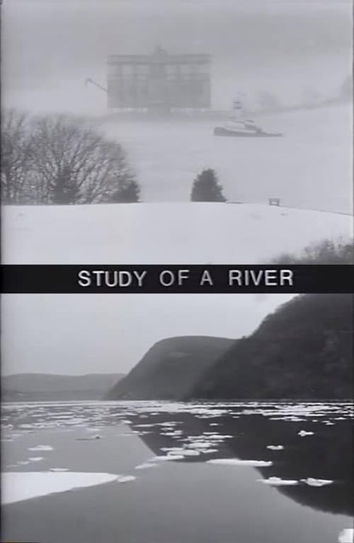 Study of a River (1997) poster