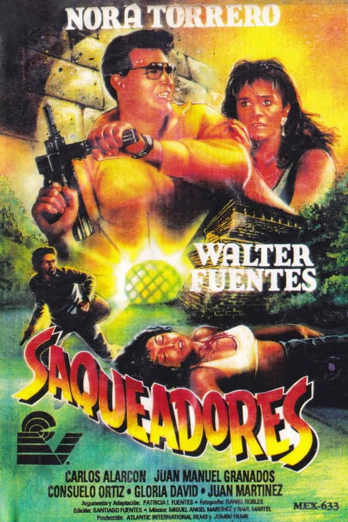 Saqueadores (1992) poster