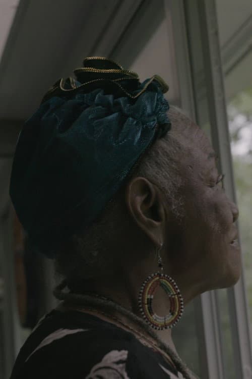 The Ancestors Came (2017) poster