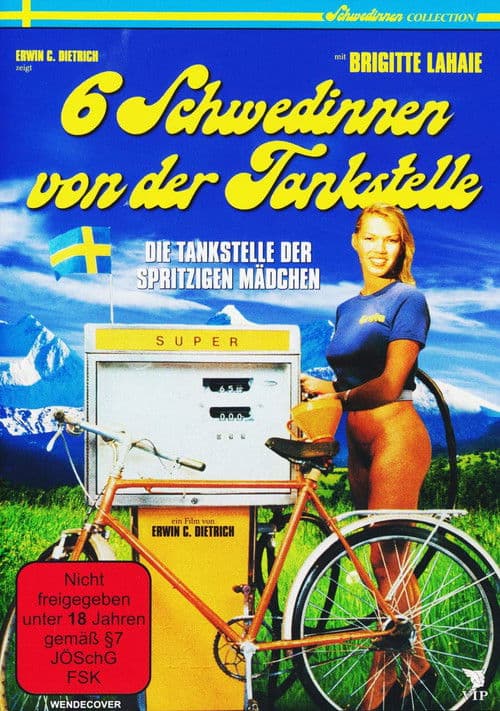 Sechs Schwedinnen von der Tankstelle (1980) poster