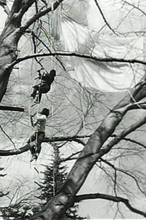 Tree Dance (1971) poster