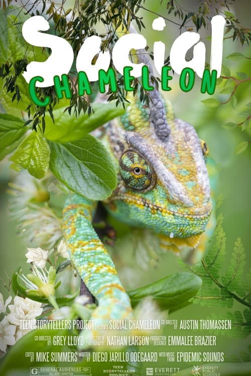 Social Chameleon (2026) poster
