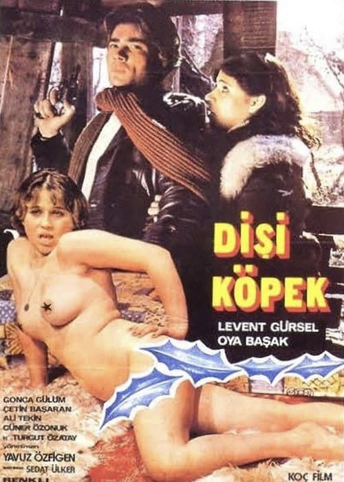 Dişi Köpek (1980) poster