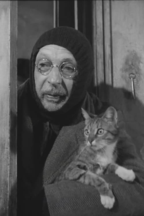L'Homme au chats (1969) poster