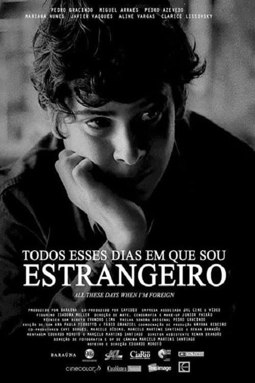 Todos Esses Dias em Que Sou Estrangeiro (2013) poster