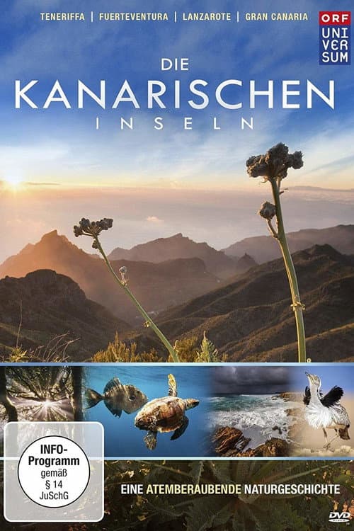 Die Kanarischen Inseln (2016) poster