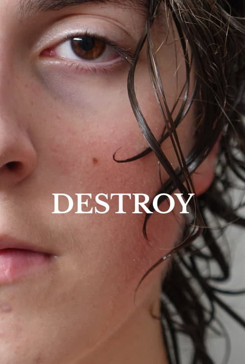 Destroy (2022) poster