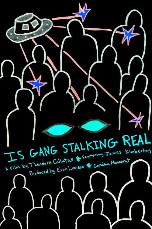Is Gang Stalking Real (2026) poster