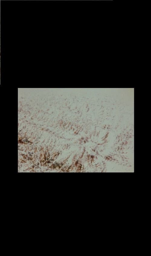 WAIT (2000) poster