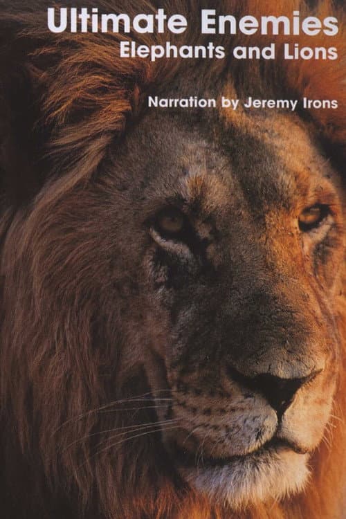 Ultimate Enemies: Elephants and Lions (2003) poster