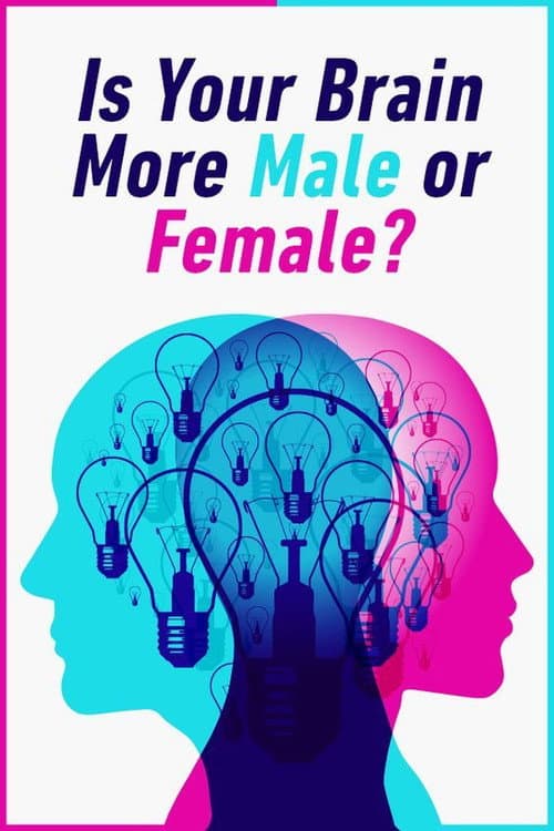 Is Your Brain Male or Female? (2014) poster