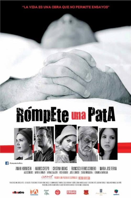 Rómpete una pata (2013) poster
