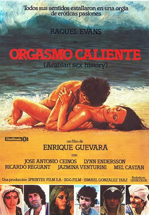 Orgasmo caliente (1981) poster