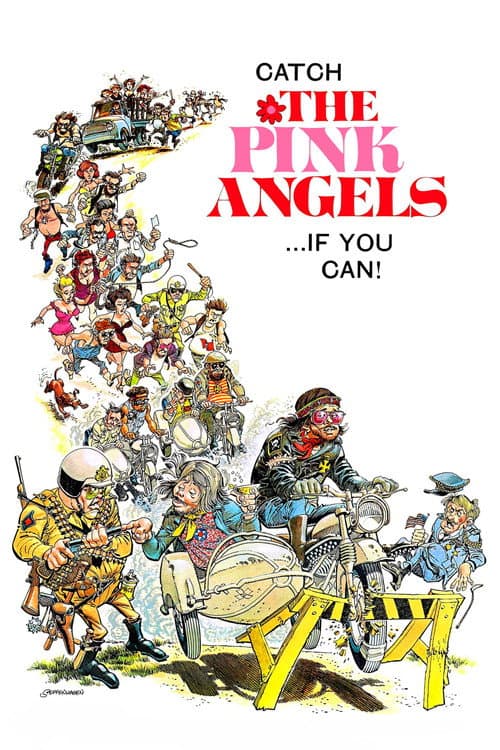 Pink Angels (1971) poster