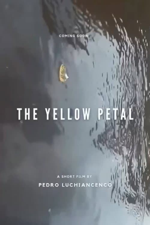 A Pétala Amarela (2021) poster
