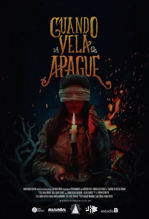 Cuando la vela se apague (2018) poster