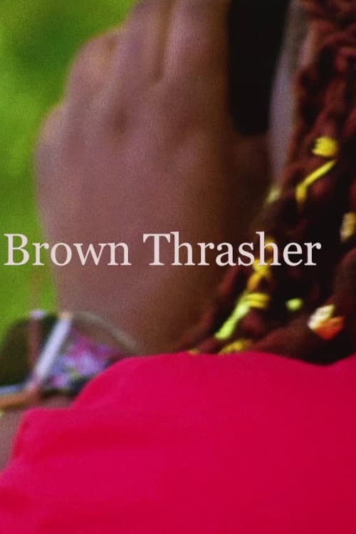 Brown Thrasher (2020) poster