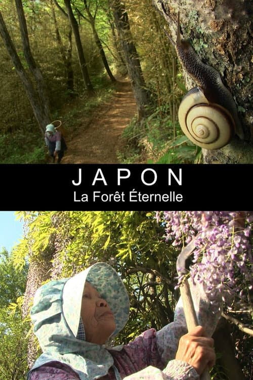 Grandma's Eternal Forest (2013) poster