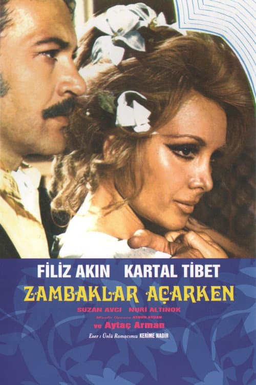 Zambaklar Açarken (1973) poster