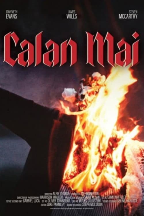 Calan Mai (2025) poster
