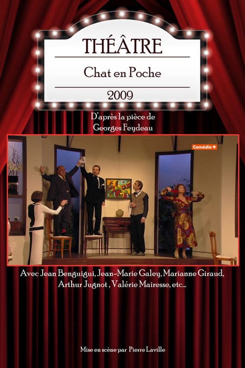 Chat en Poche (2009) poster