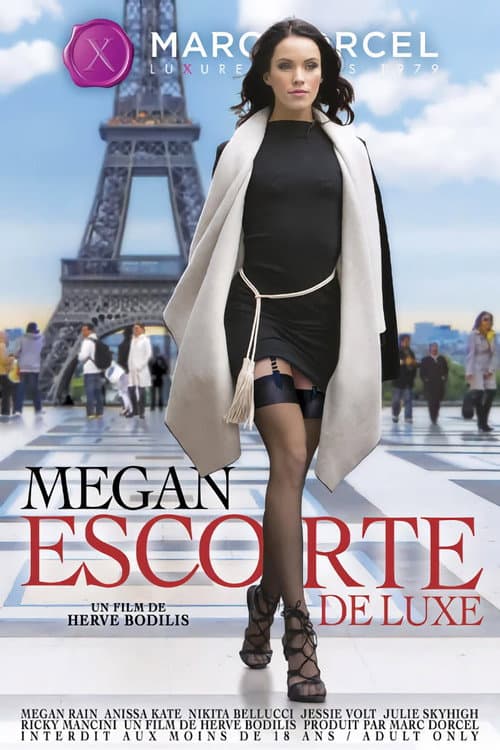 Megan, escorte de luxe (2016) poster