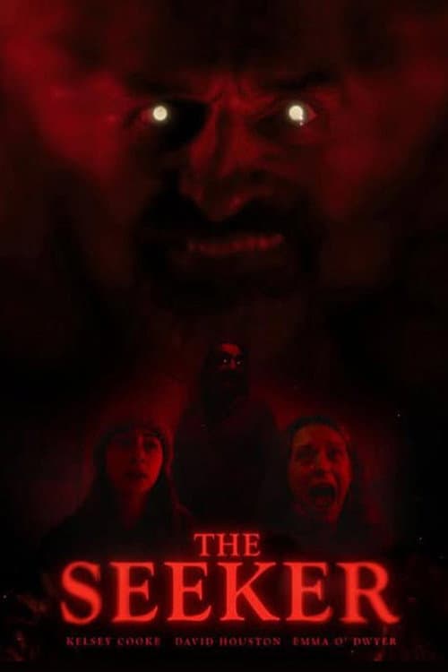 THE SEEKER (2025) poster