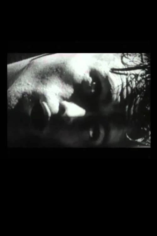 The Hunger Artist (1995) poster