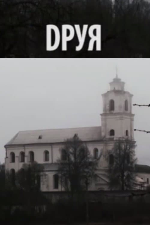Друя (2016) poster