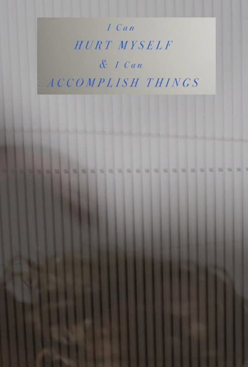 I Can Hurt Myself & I Can Accomplish Things (2016) poster