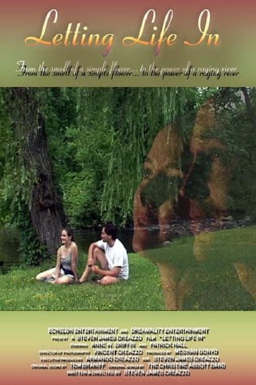 Letting Life In (2003) poster