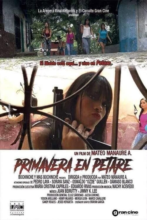 Primavera en Petare (2019) poster